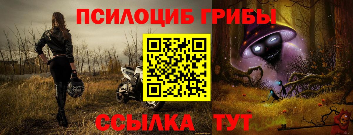 Псилоцибиновые грибы мухоморы  как найти закладки  Вход с VPN  Воскресенск  Галлюциногенные грибы MAGIC MUSHROOMS 